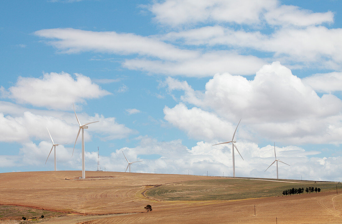 Wind turbines,South Africa