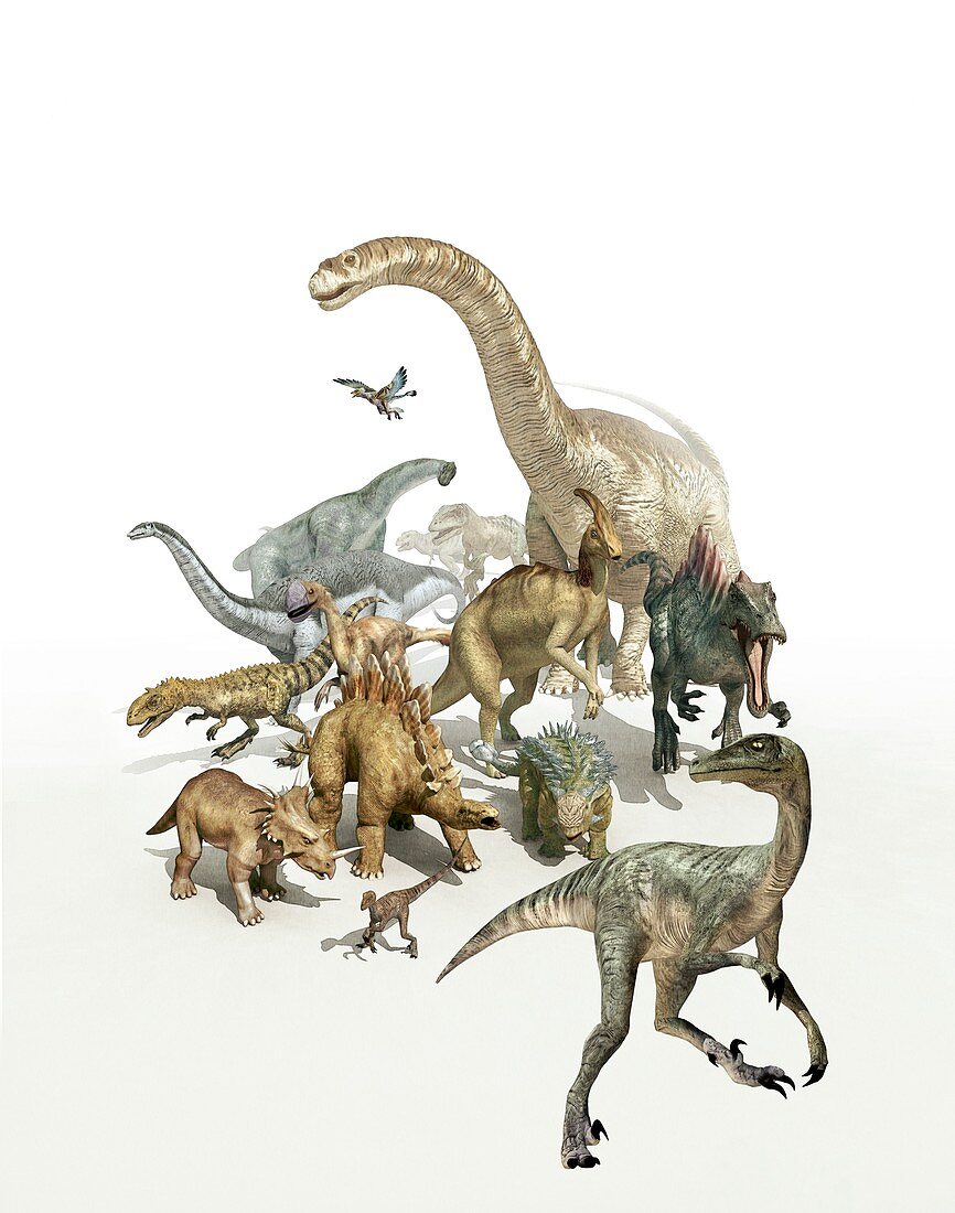 Dinosaurs,illustration