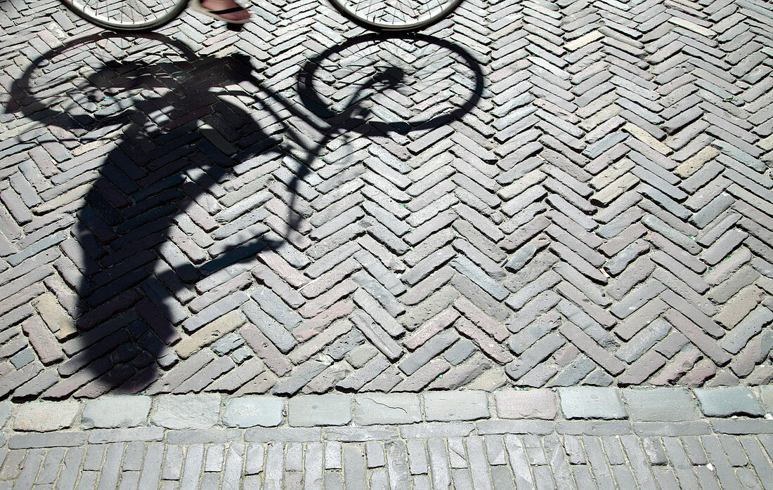 Cyclist and shadow