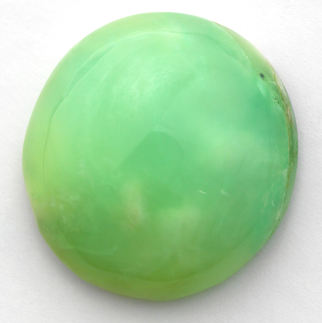 Round polished Common Opal