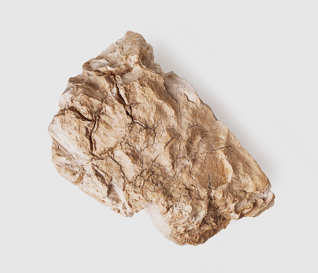 Sepiolite clay mineral