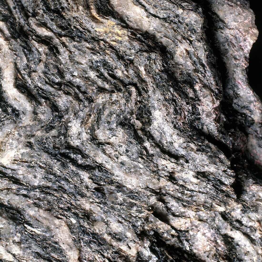 Magnification of grain of gneiss rock