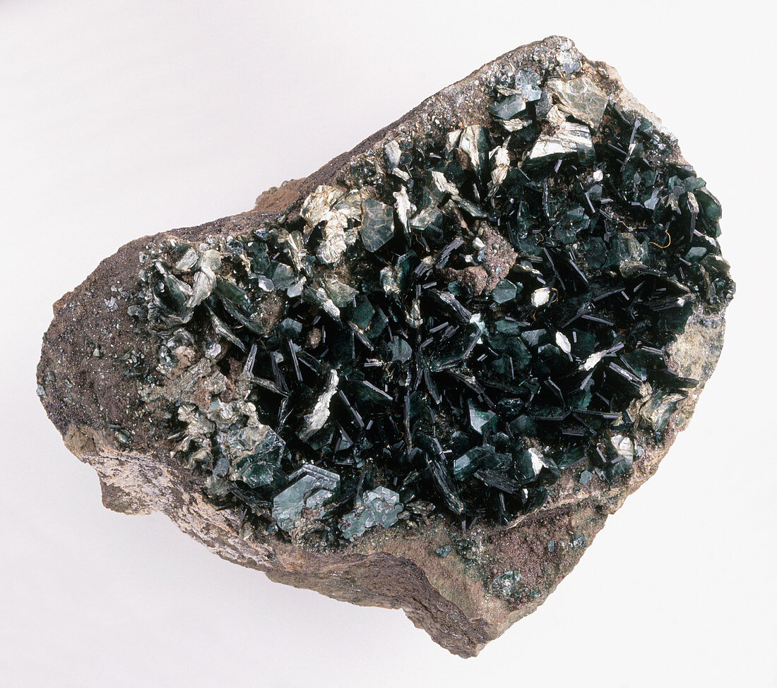 Clinochlore crystals in rock groundmass