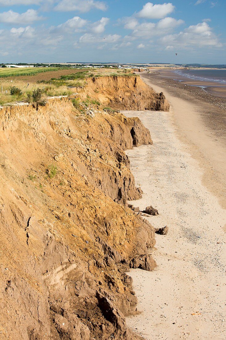Collapsed coastal cliffs near Aldbrough