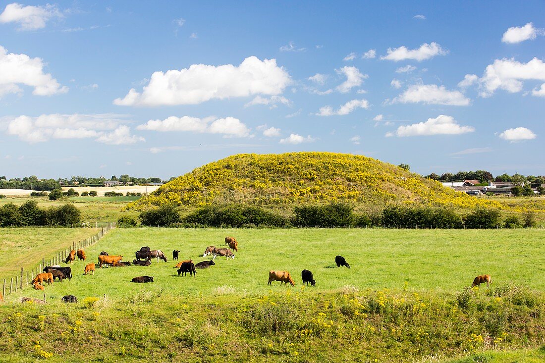 Skipsea Castle