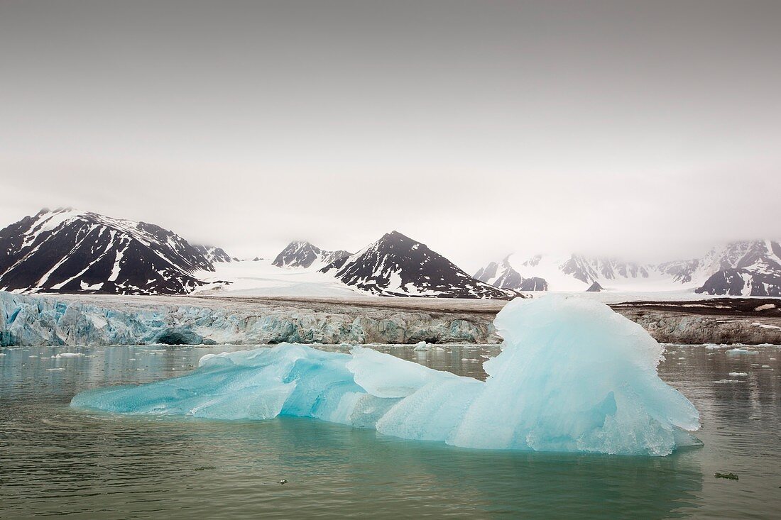 A glacier in Svalbard