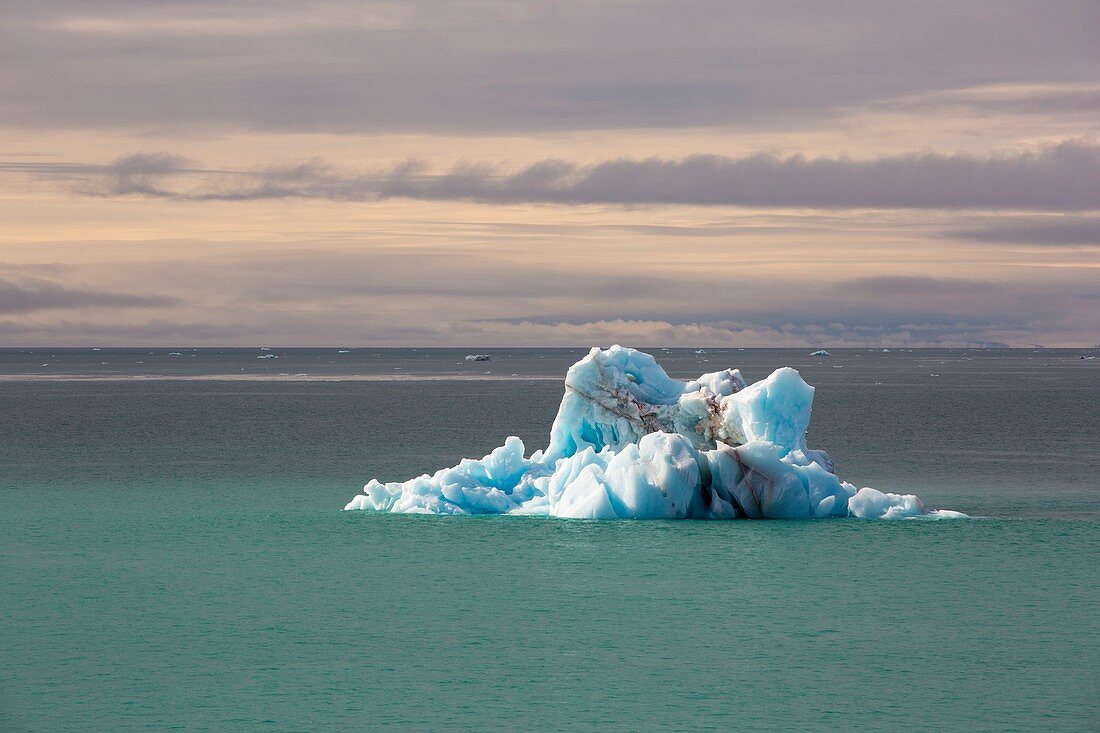 Icebergs from a glacier on Nordauslandet