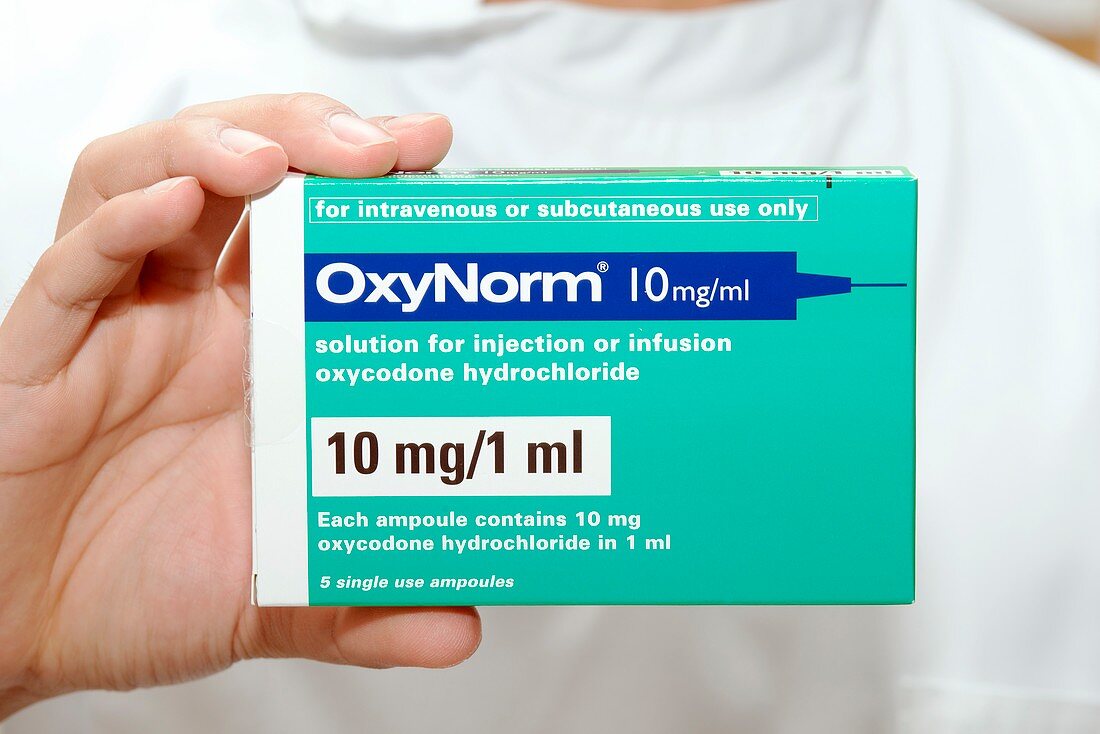 Oxycodone hydrochloride painkiller