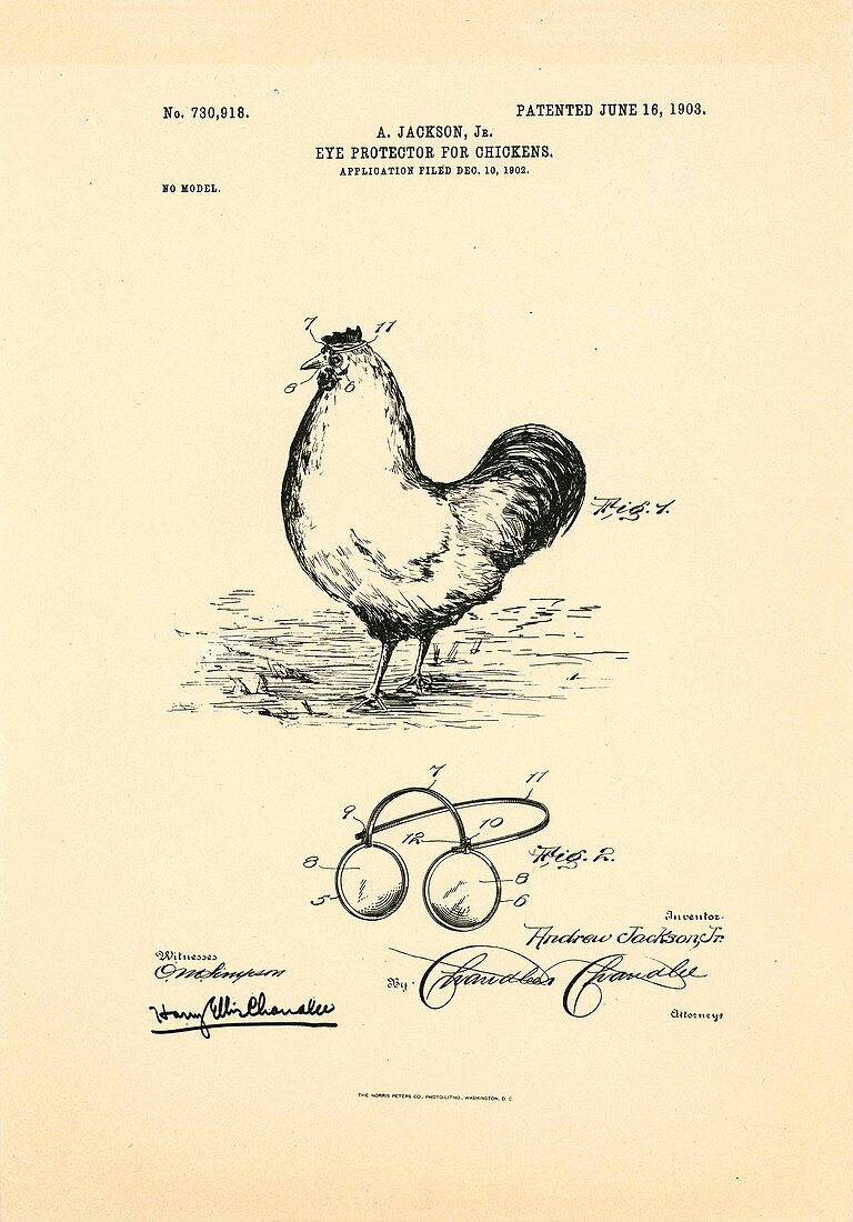 Eyeglasses for chickens patent,1903
