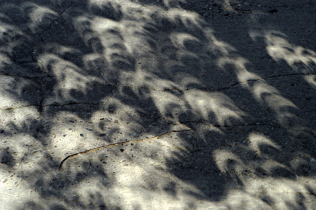 Solar eclipse shadows