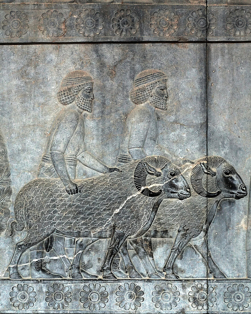 Bas-relief,Persepolis,Iran