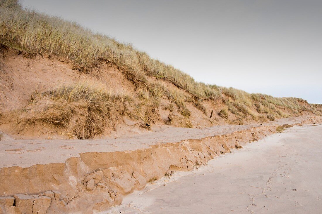 Sand dunes at Beadnell,UK
