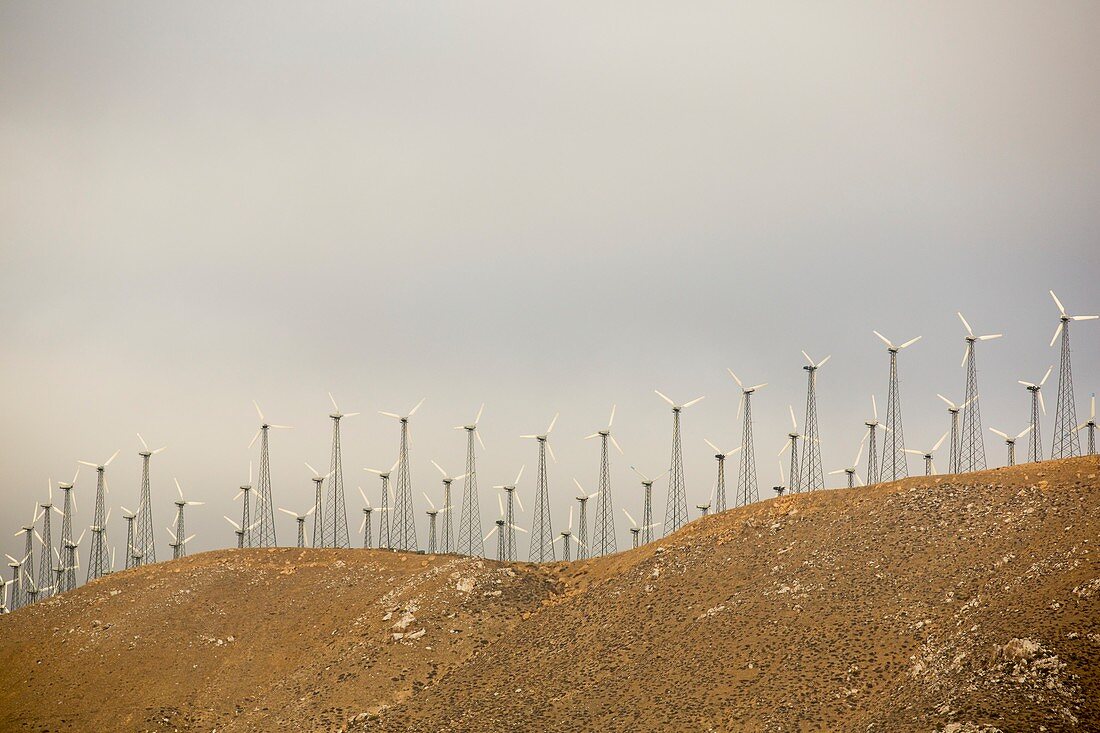 Part of the Tehachapi Pass wind farm