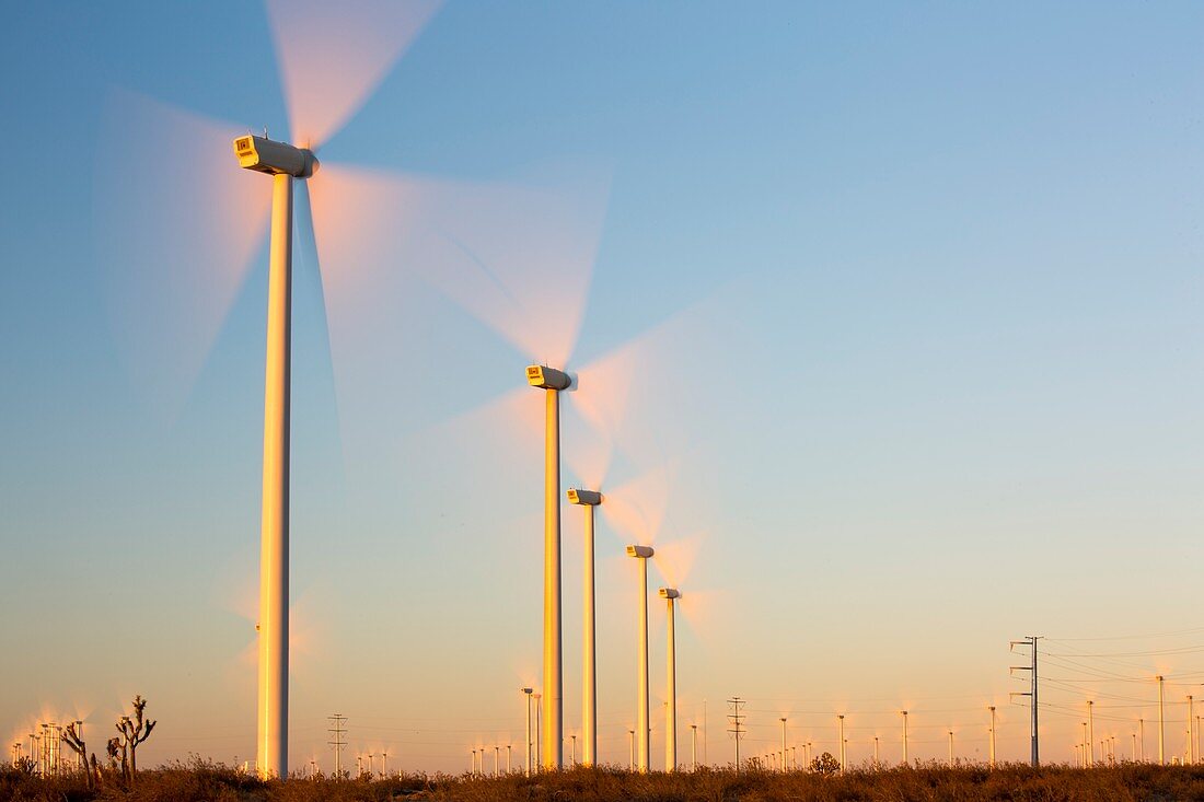 Part of the Tehachapi Pass wind farm