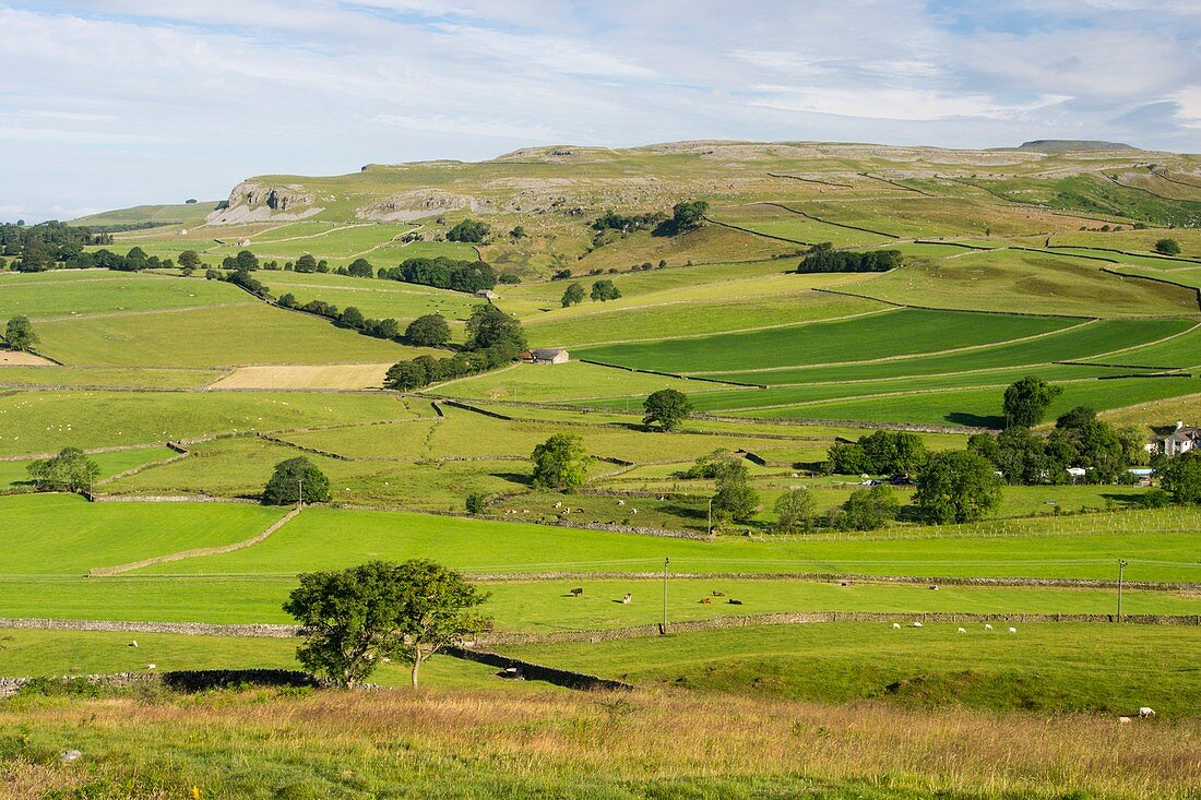 Yorkshire Dales scenery