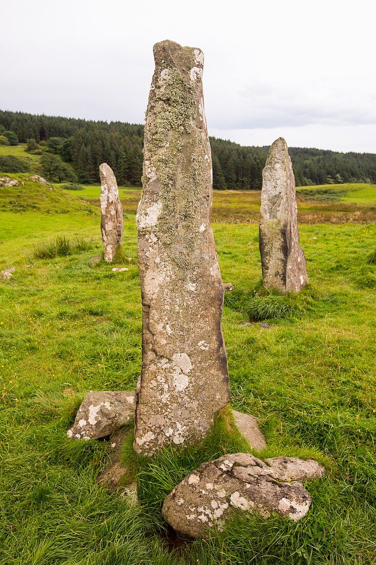 4000 year old Standing stones