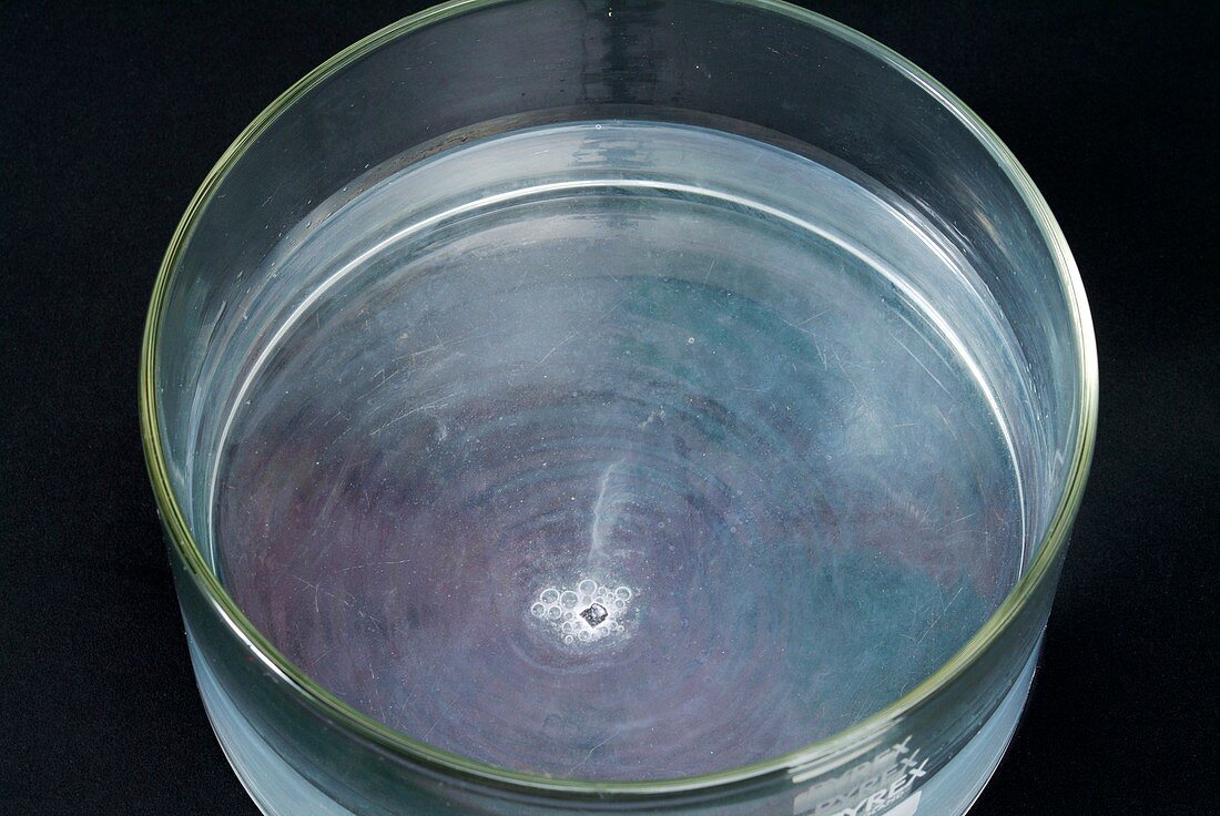 Lithium reacting with water