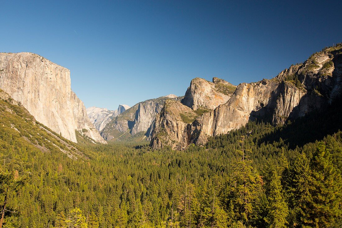 El Capitan,Yosemite National Park,USA