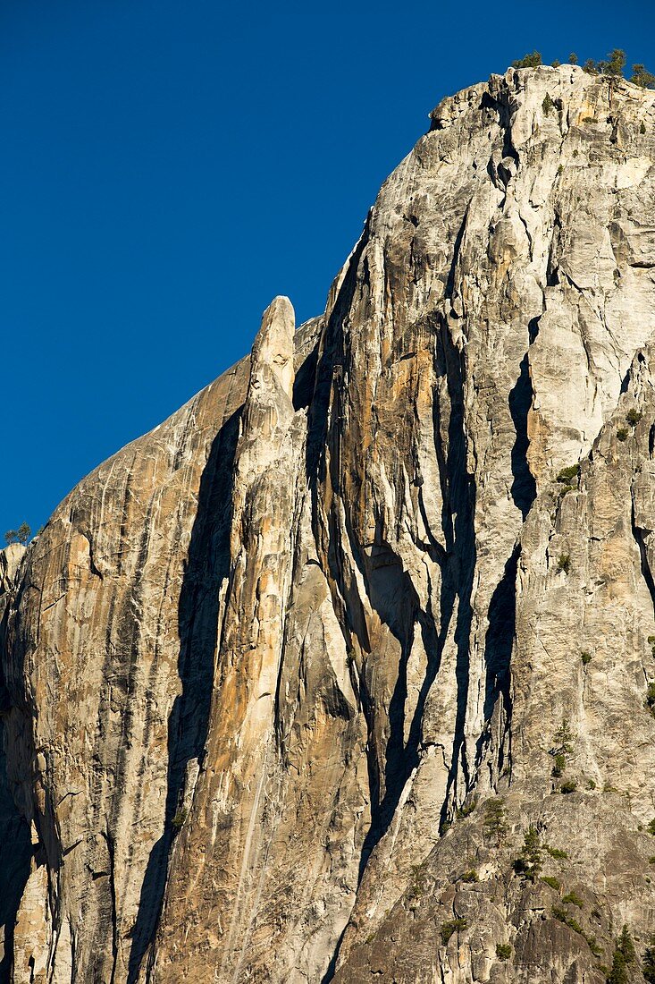 A pinnacle on a cliff in Yosemite Valley