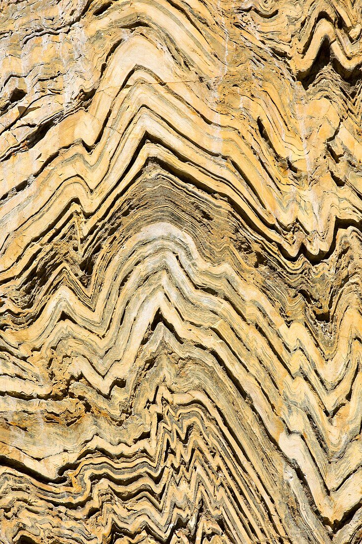Folded metamorphic rock in Kings Canyon