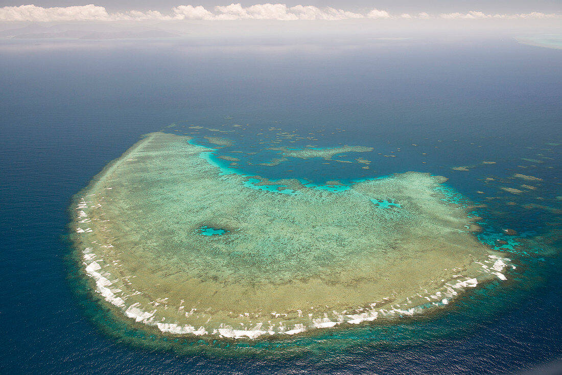 Coral reef,Great Barrier Reef