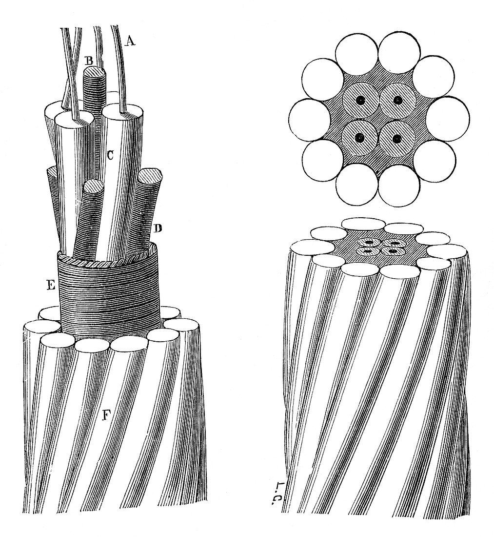 Submarine telegraph cable,19th century