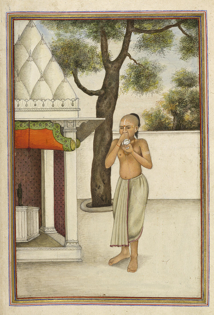 Brahmin blowing conch shell,illustration
