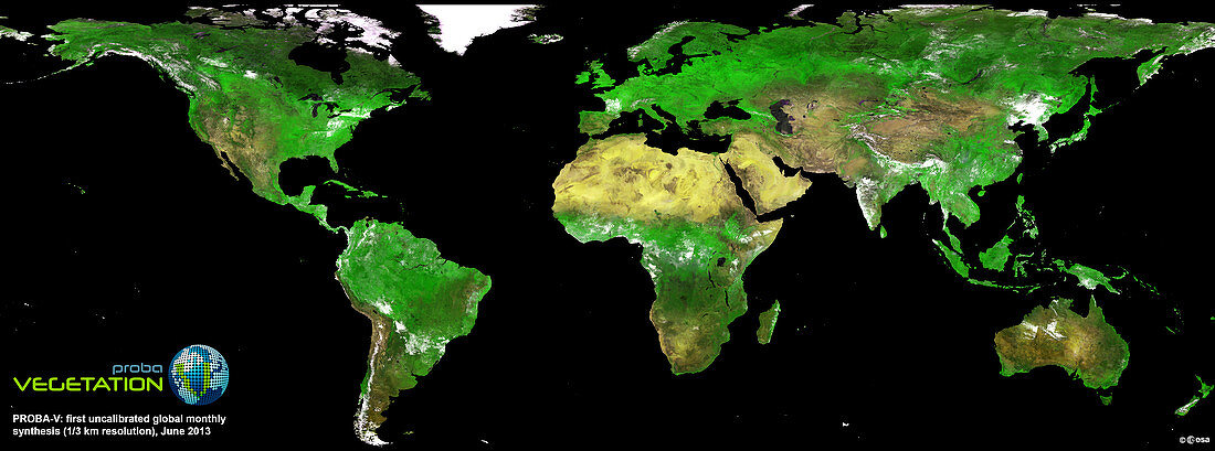 Global vegetation,satellite image