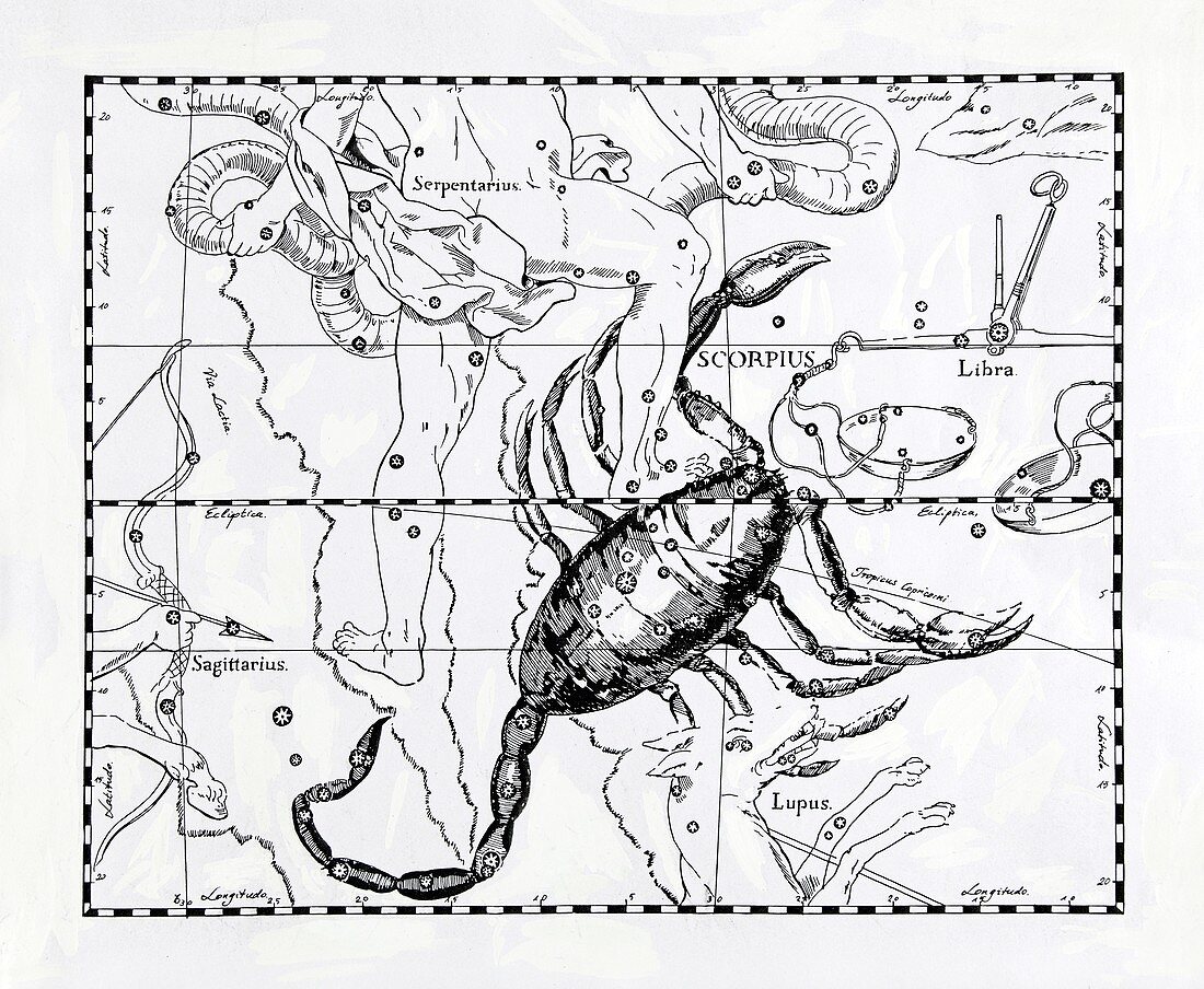 Scorpio,illustration
