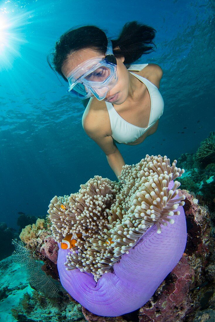 Free diver with anemonefish