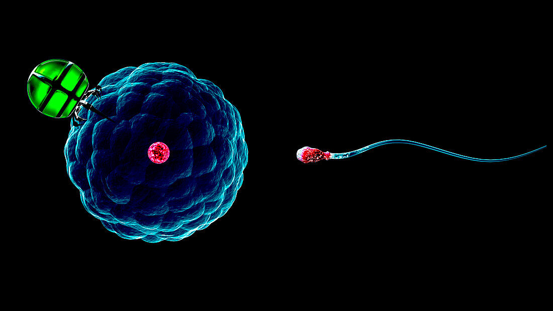 Nano-fertilisation,conceptual image