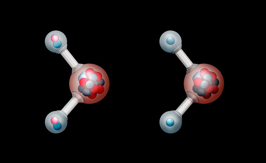 Heavy water and water,molecular models