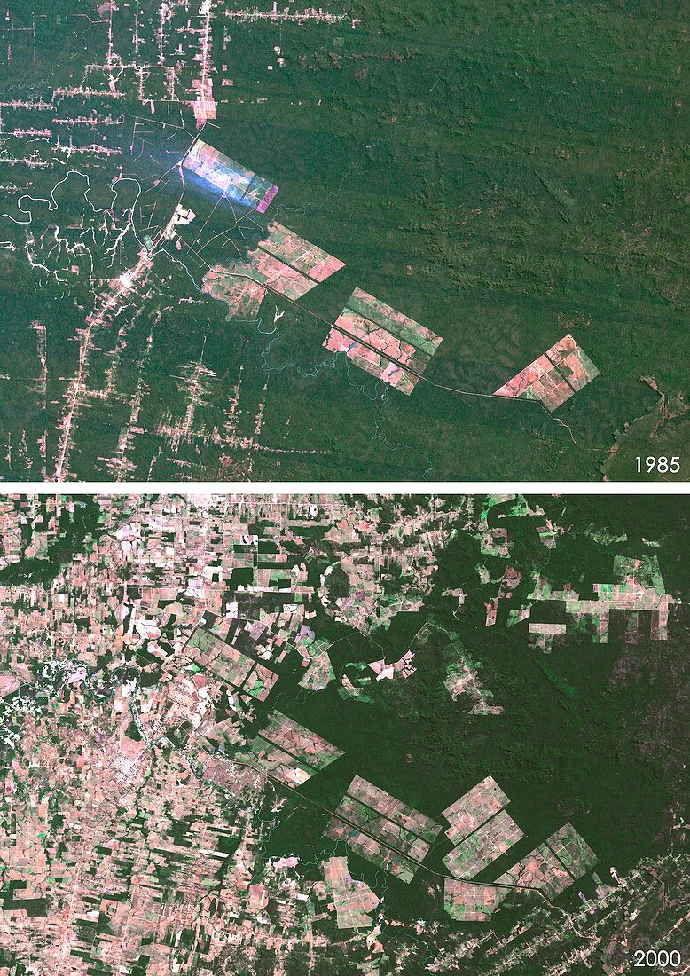 Matto Grosso deforestation,1985 and 2000