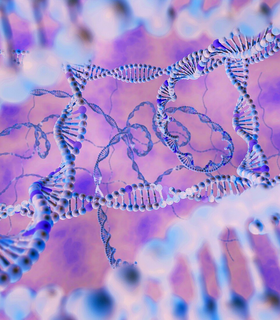 DNA strands,illustration