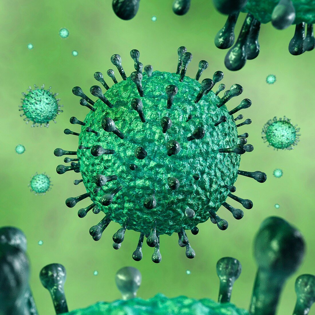 SARS virus particle,illustration