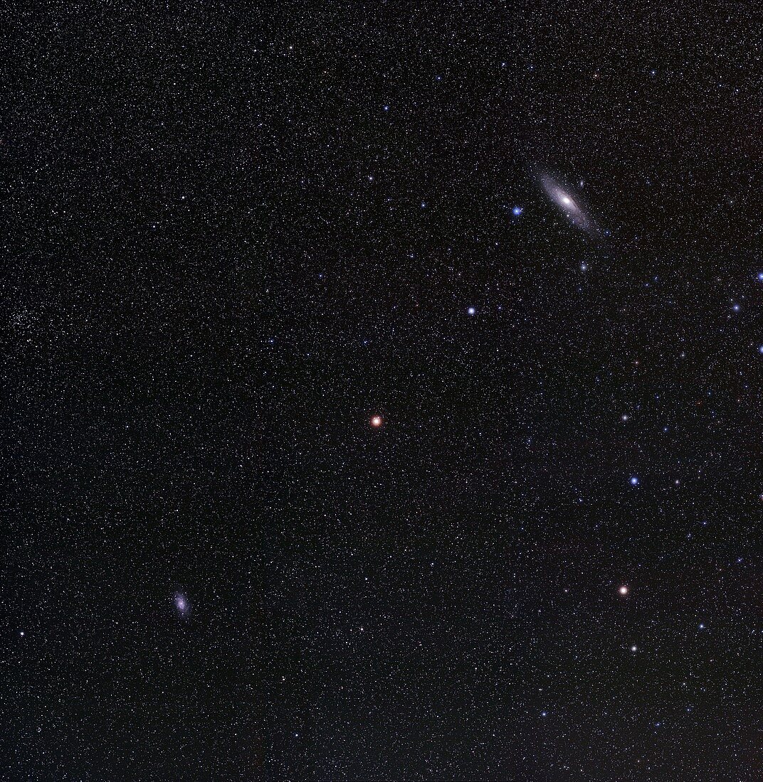 Triangulum and Andromeda galaxies
