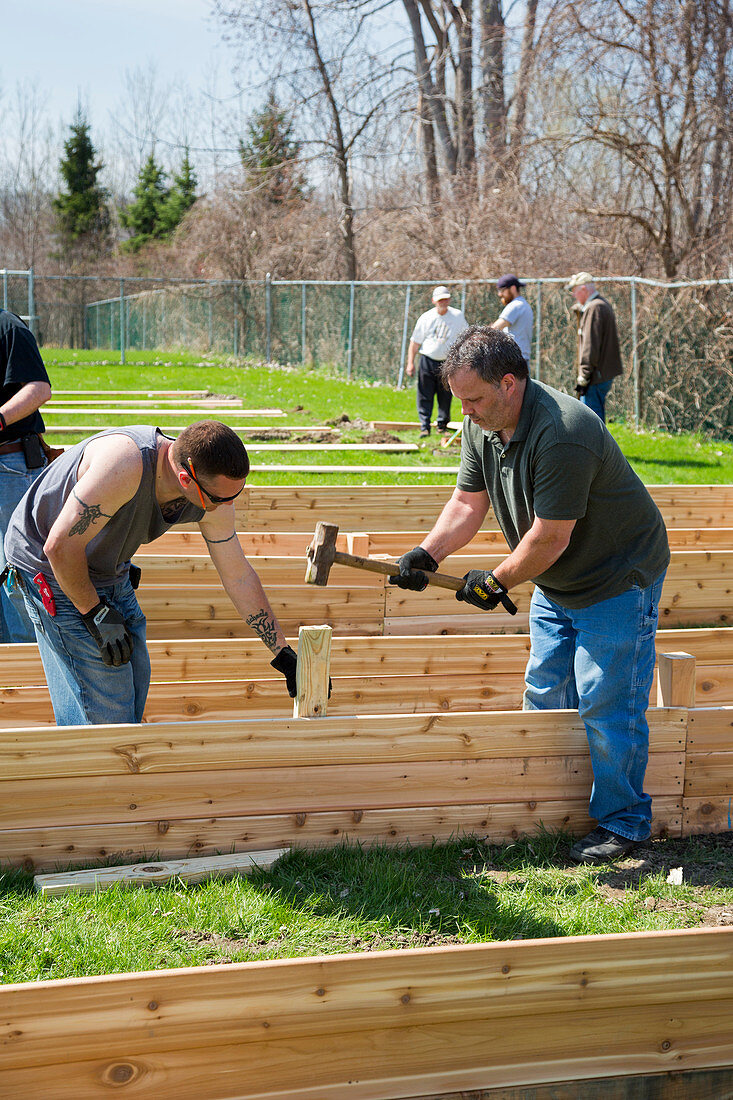 Volunteers building raised beds