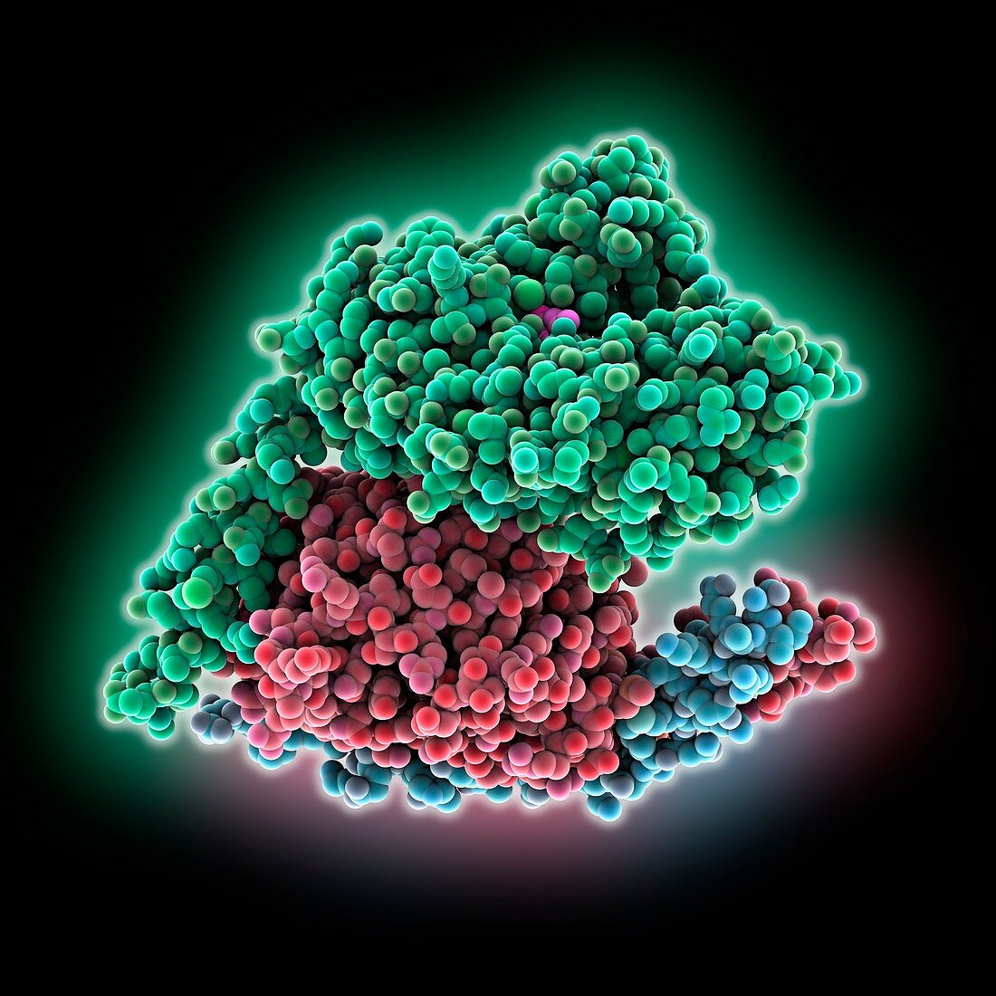 Heterotrimeric G protein complex molecule