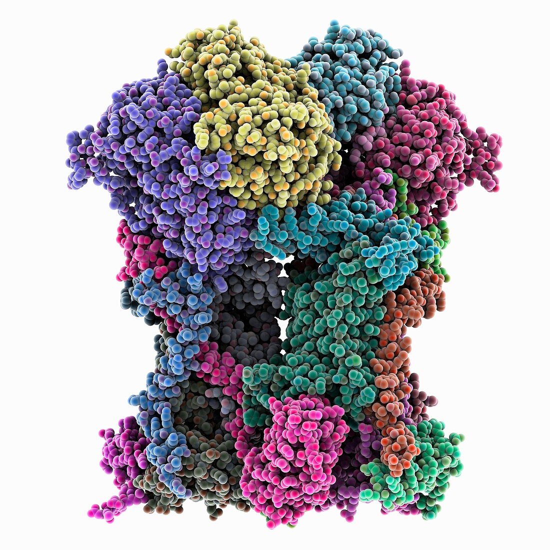 Cytochrome BC1 molecule