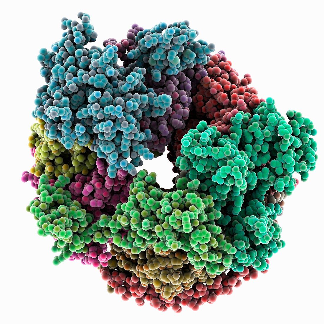 RNA exosome complex,molecular model