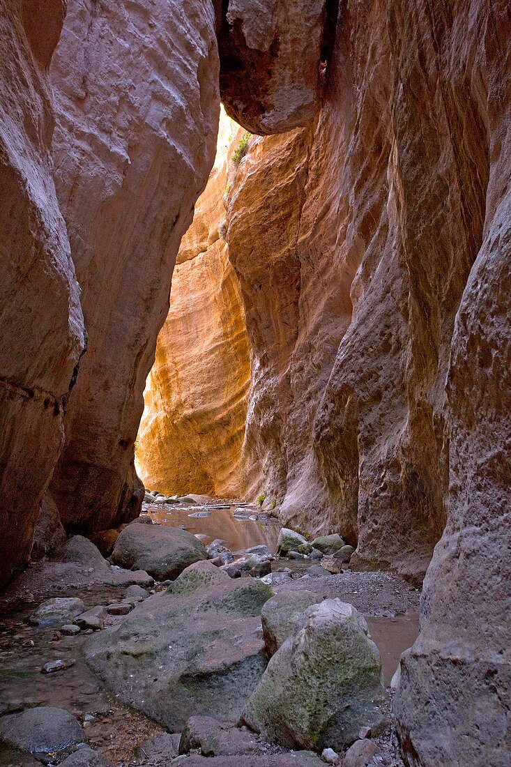 Avakas Gorge,Cyprus