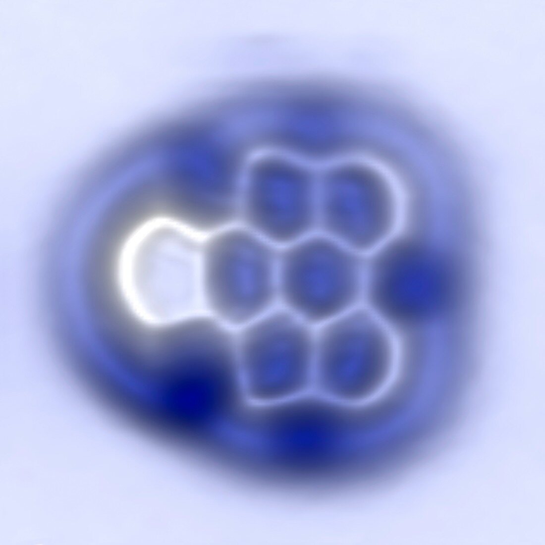 Aryne molecule,AFM