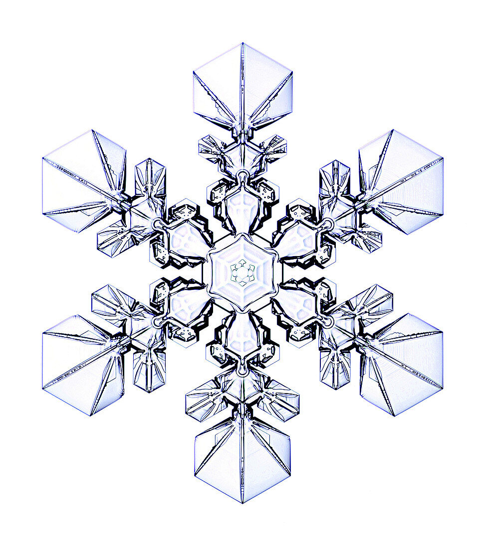 Snowflake,light micrograph