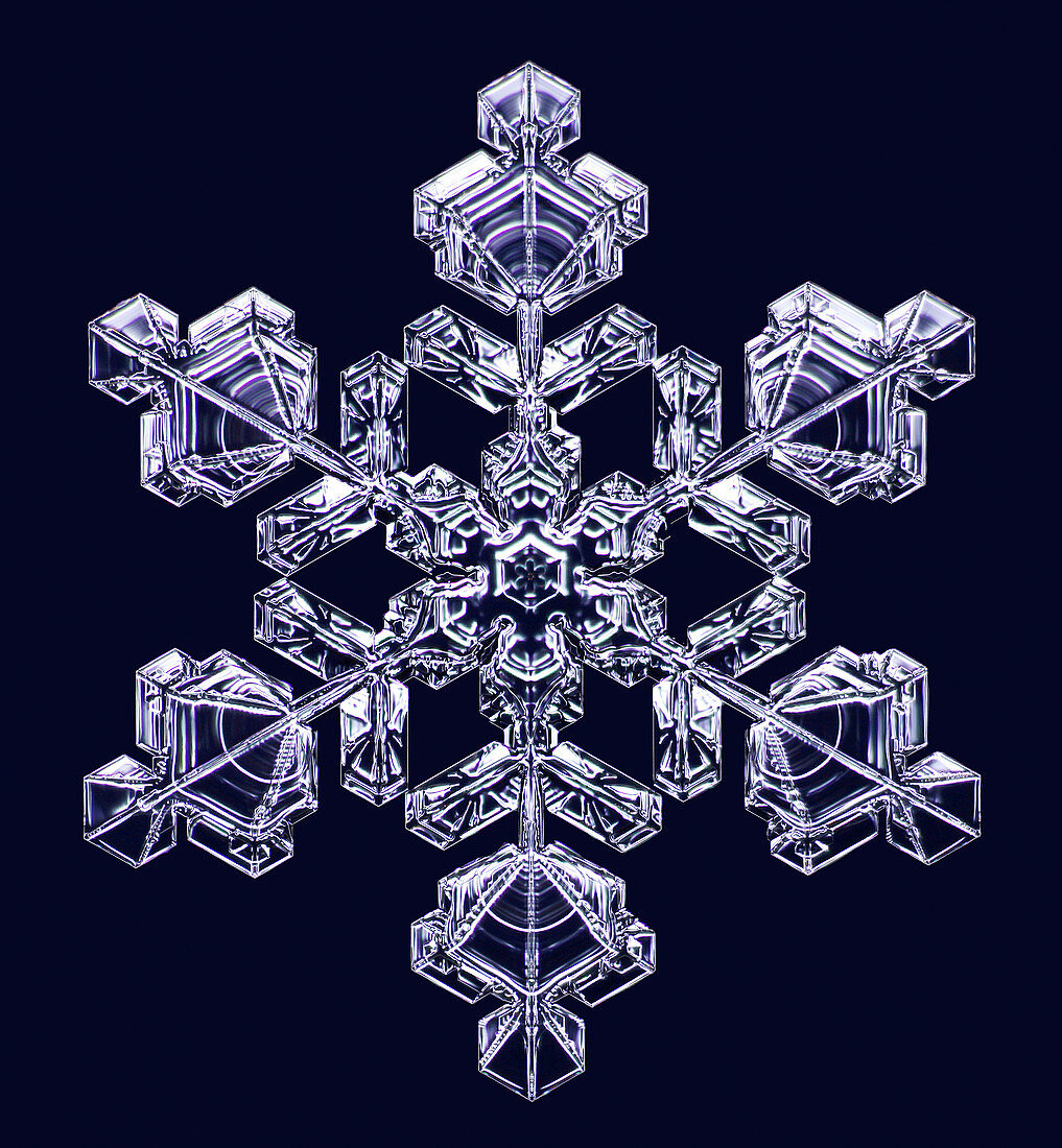 Snowflake,light micrograph