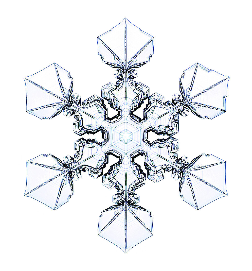 Snowflake,light micrograph