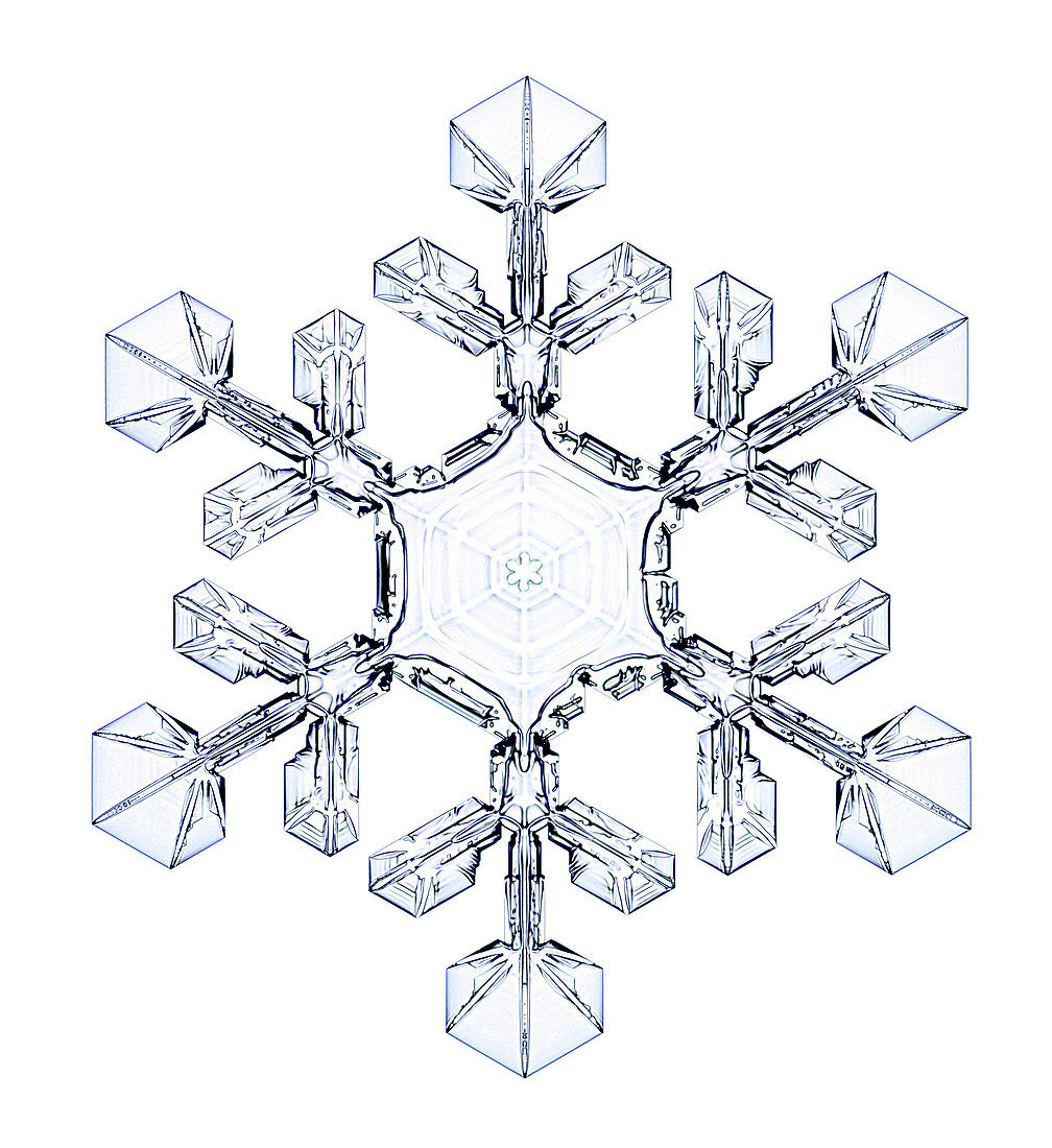 Snowflake,light micrograph