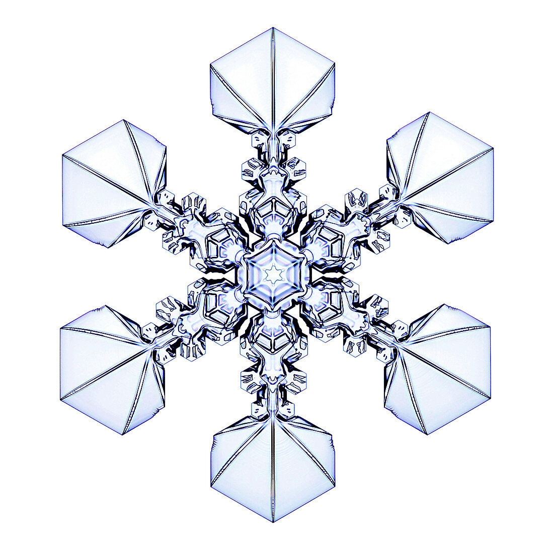 Snowflake,light micrograph