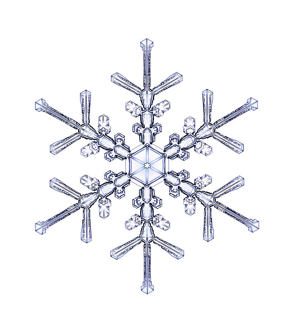 Snowflake,light micrograph