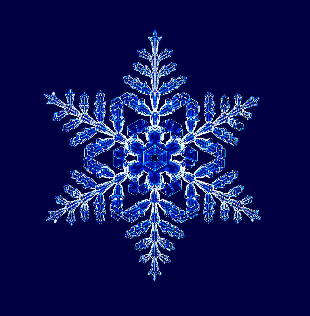 Snowflake,light micrograph