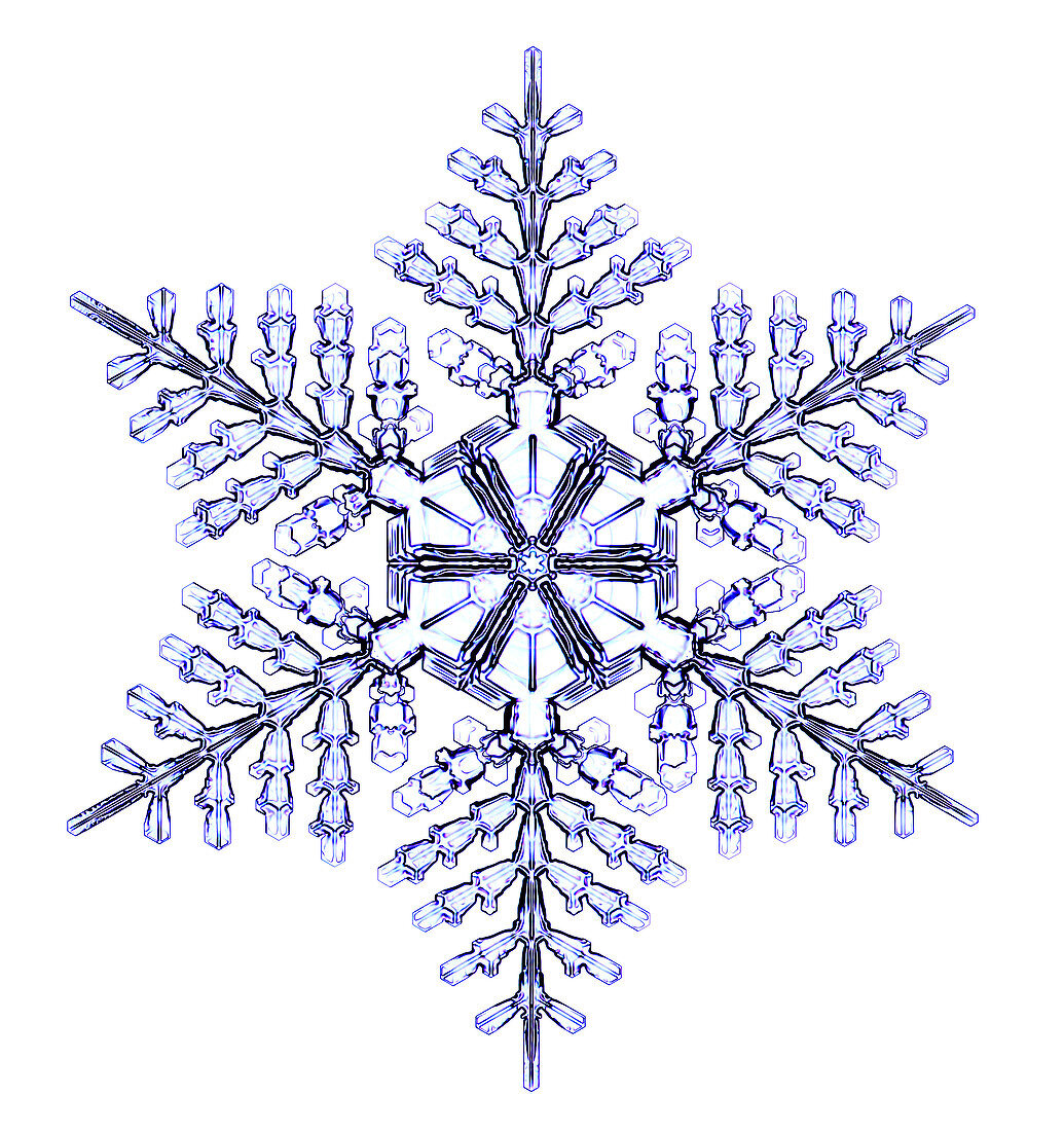 Snowflake,light micrograph